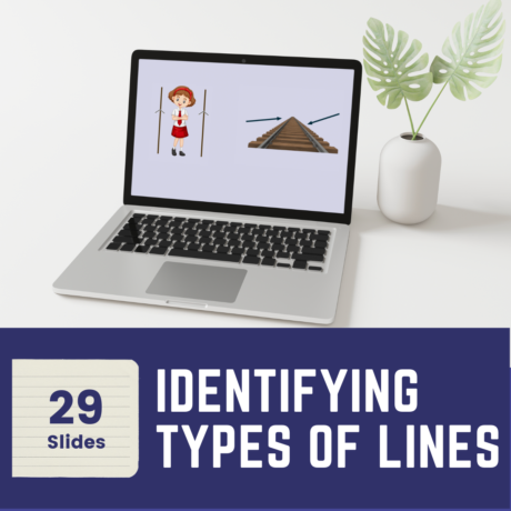 Identifying Types of Lines Year 3 Mastery
