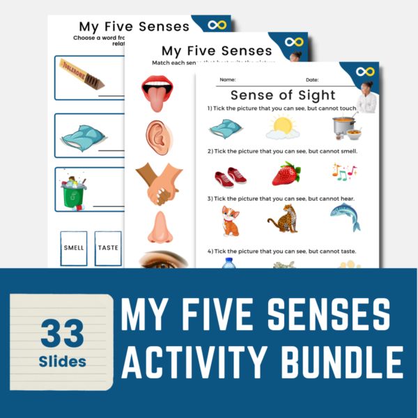 my five senses worksheets with classroom poster