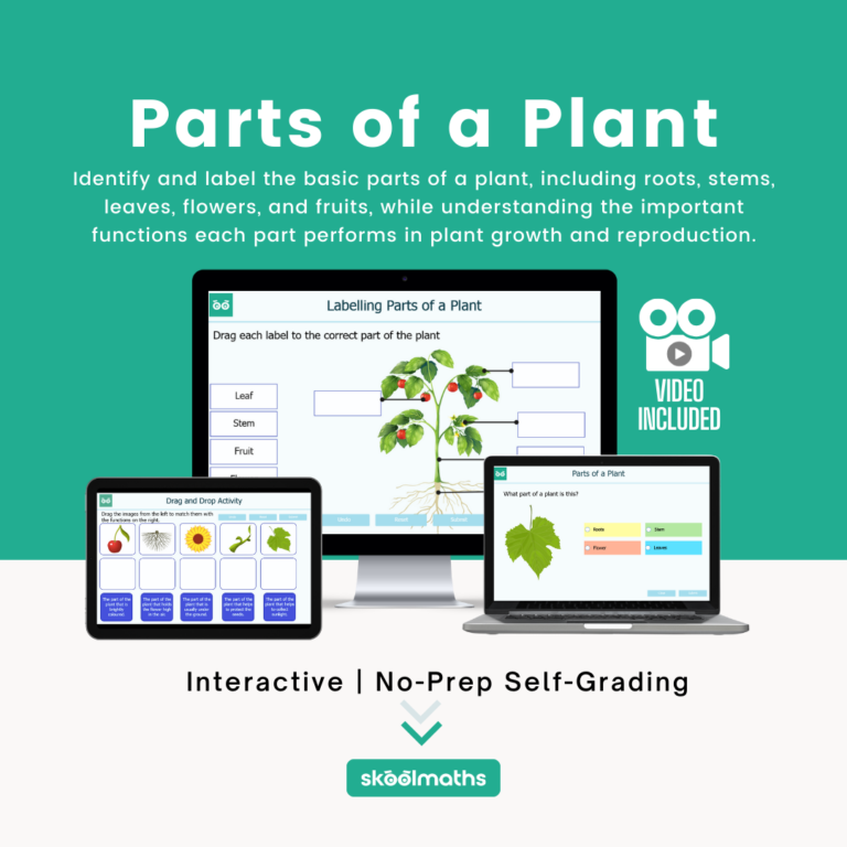 parts of a plant (1)