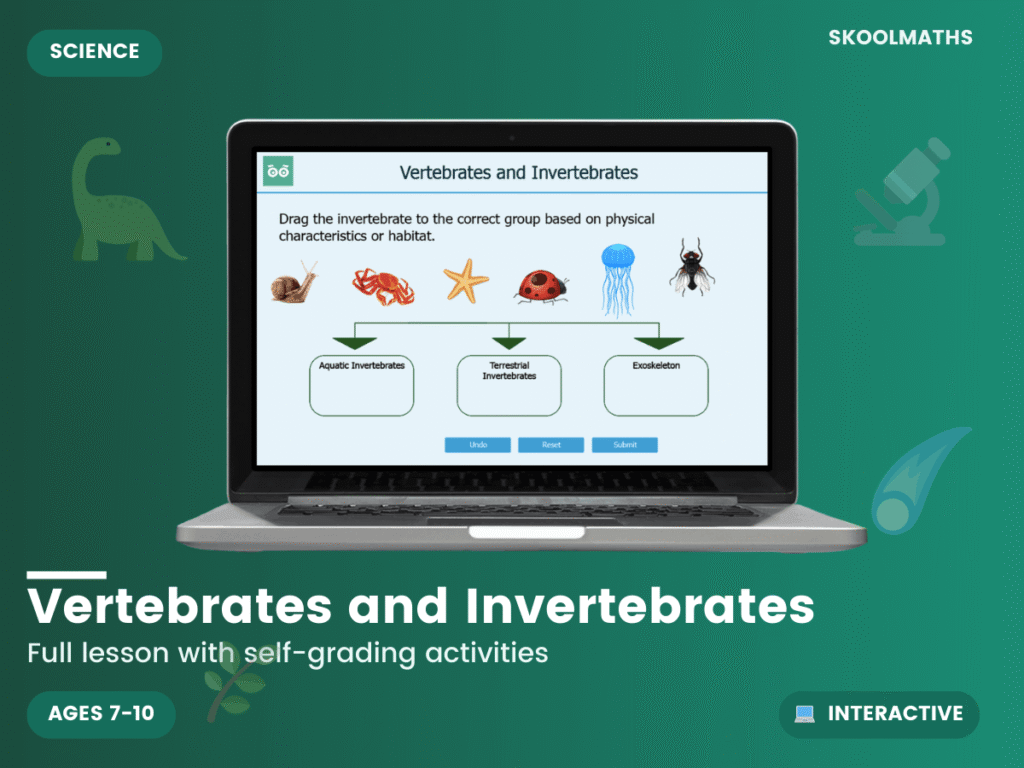 Vertebrates and Invertebrates Interactive Activities