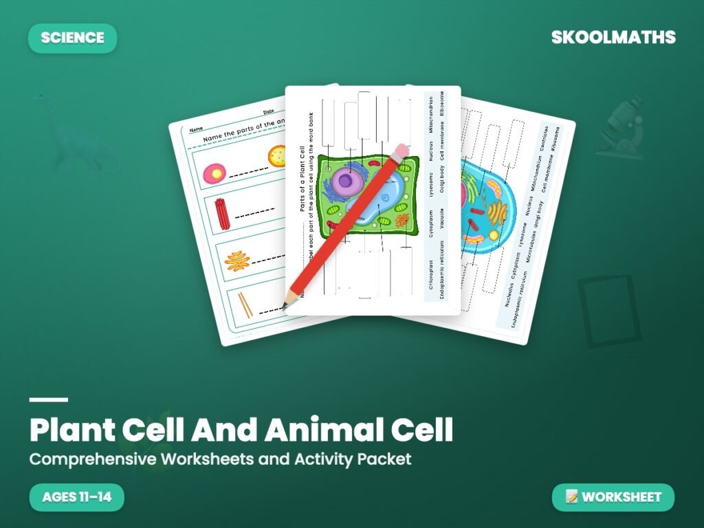 Plant Cell And Animal Cell — Worksheet (Ages 11–14)