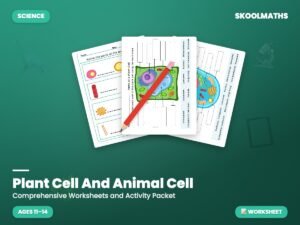 Plant Cell And Animal Cell — Worksheet (Ages 11–14)