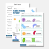 Plant cell and Animal Cell- Printable Worksheets