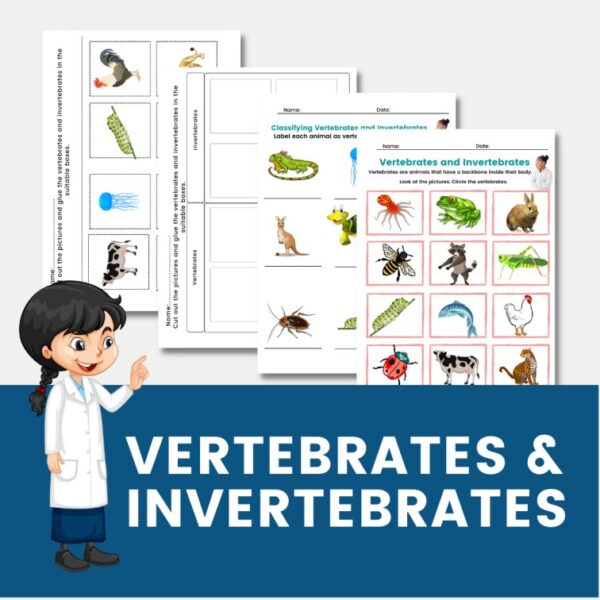 vertebrates and invertebrates