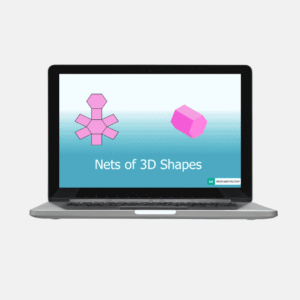 nets of 3d shapes