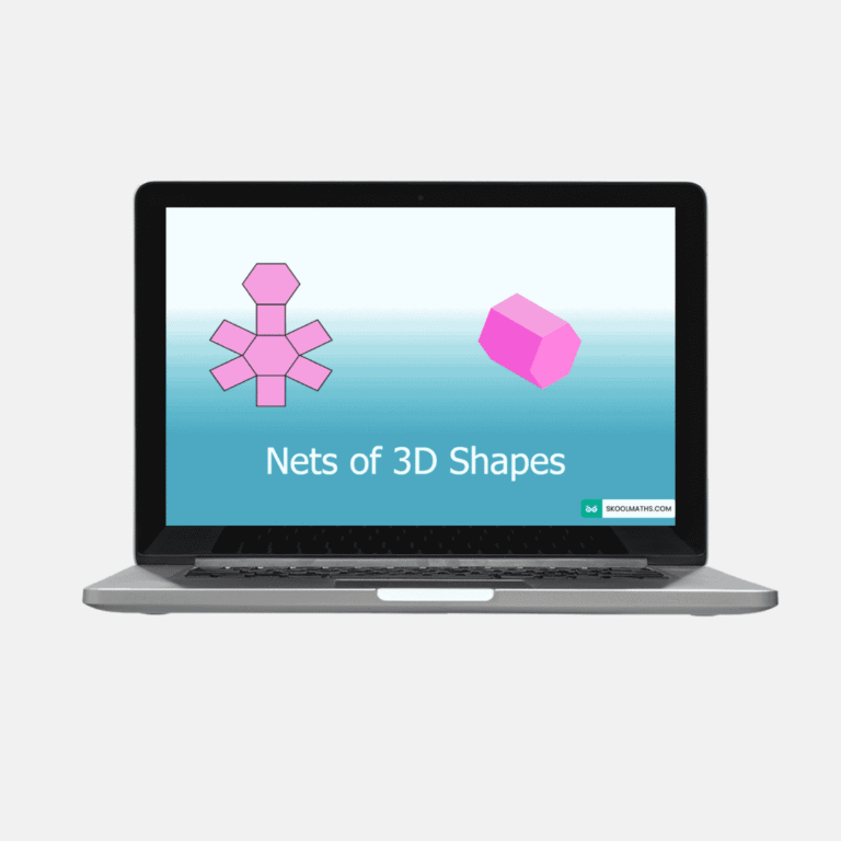 nets of 3d shapes