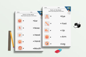 matching parts to label the human body parts