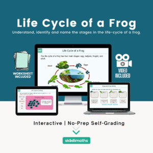 life cycle of a frog min