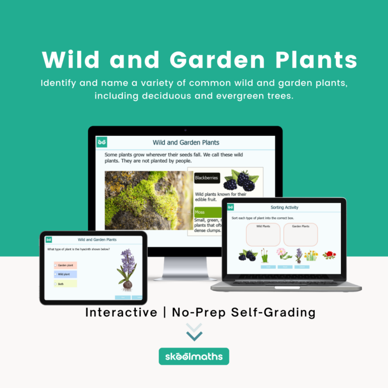wild and garden plants