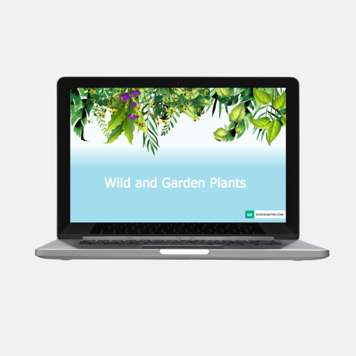 wild and garden plants