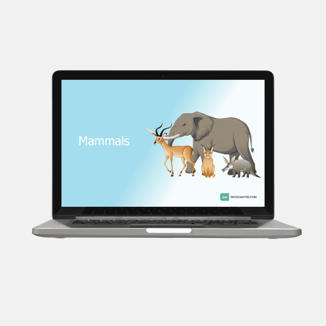 identifying mammals