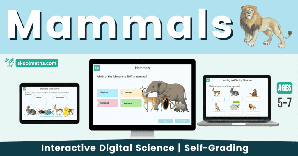 Classifying mammals interactive lesson with self-grading activities for children ages 5 to 7