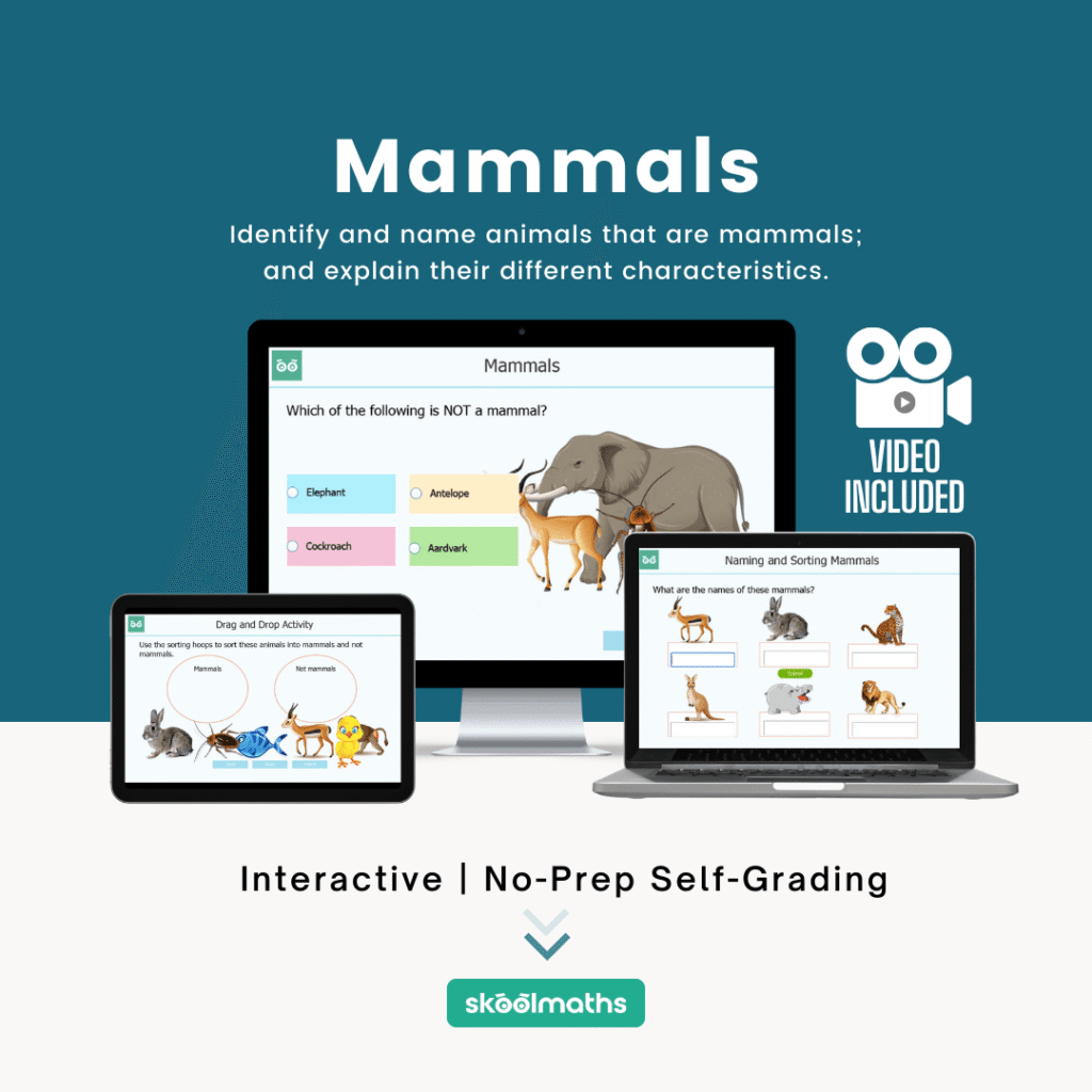 mammals min