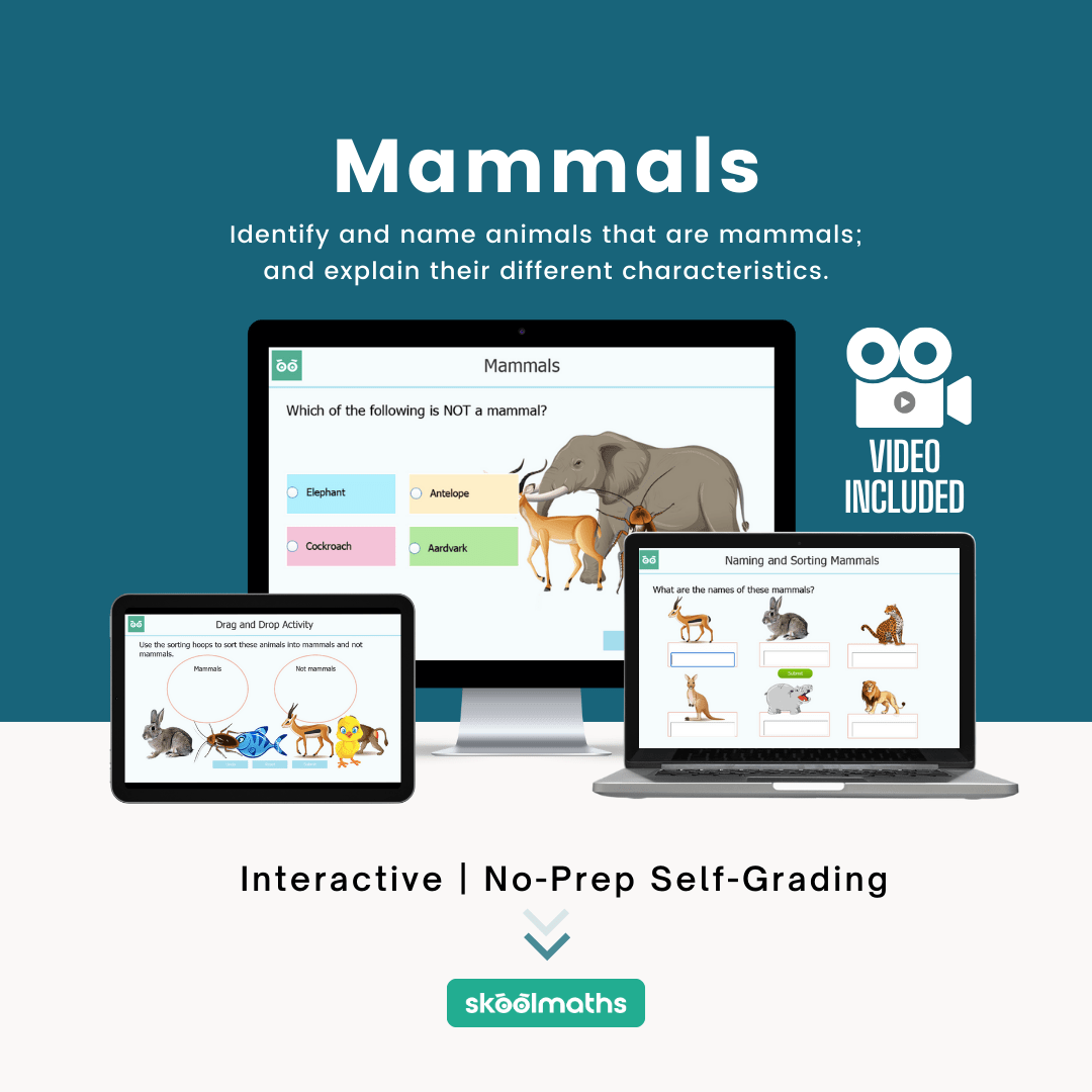 mammals min