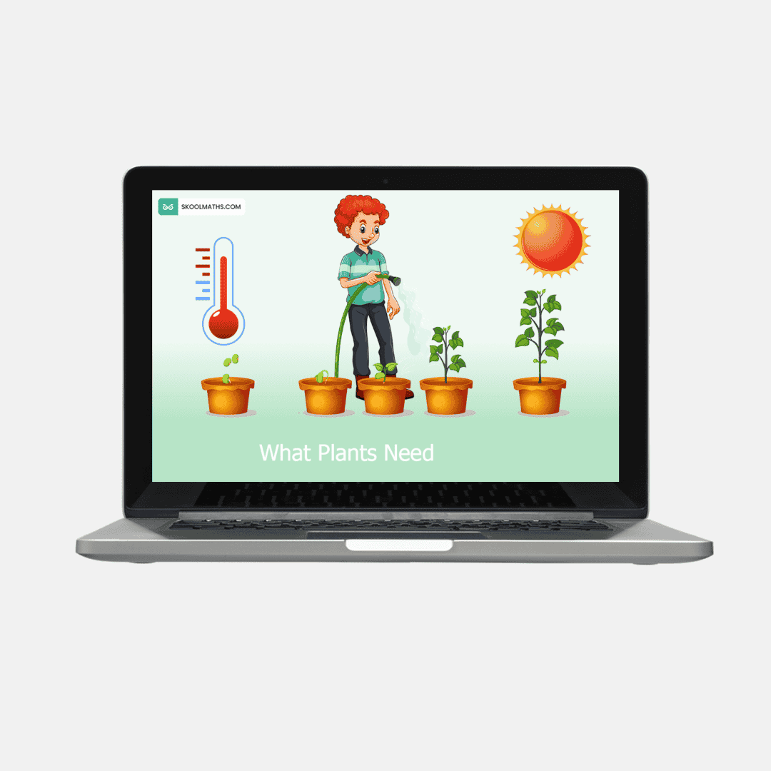 Interactive KS1 Science on what plants need to grow