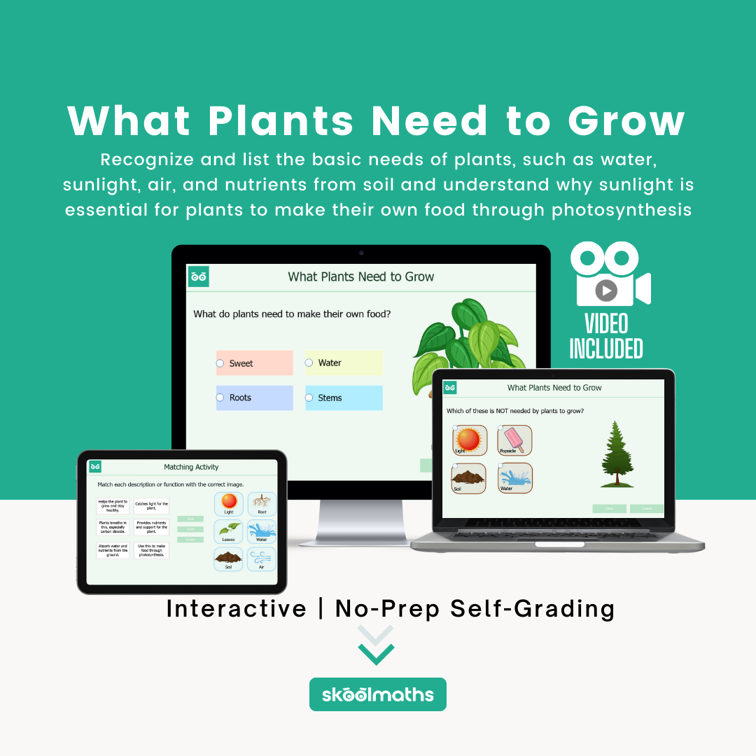 what plants need to grow
