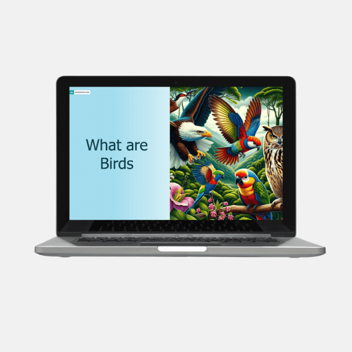 what are birds: Identifying and classifying birds