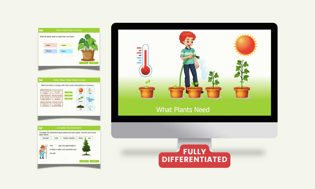 Year 3 science lesson on plant growth showing interactive questions and visual steps of a plant’s growth cycle.