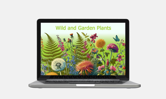 wild and garden plants