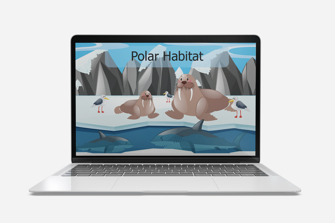 polar habitat