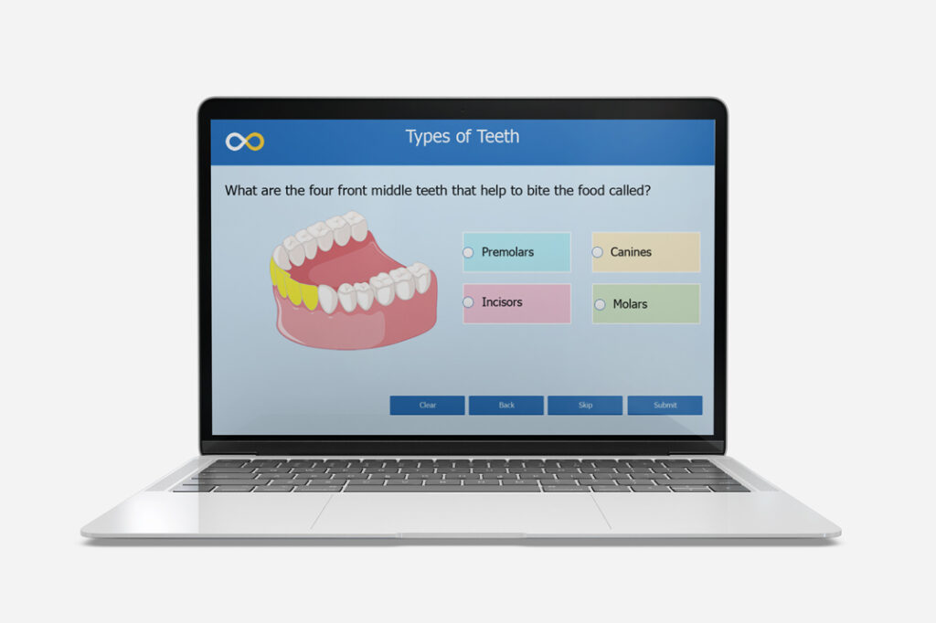 teeth and their functions