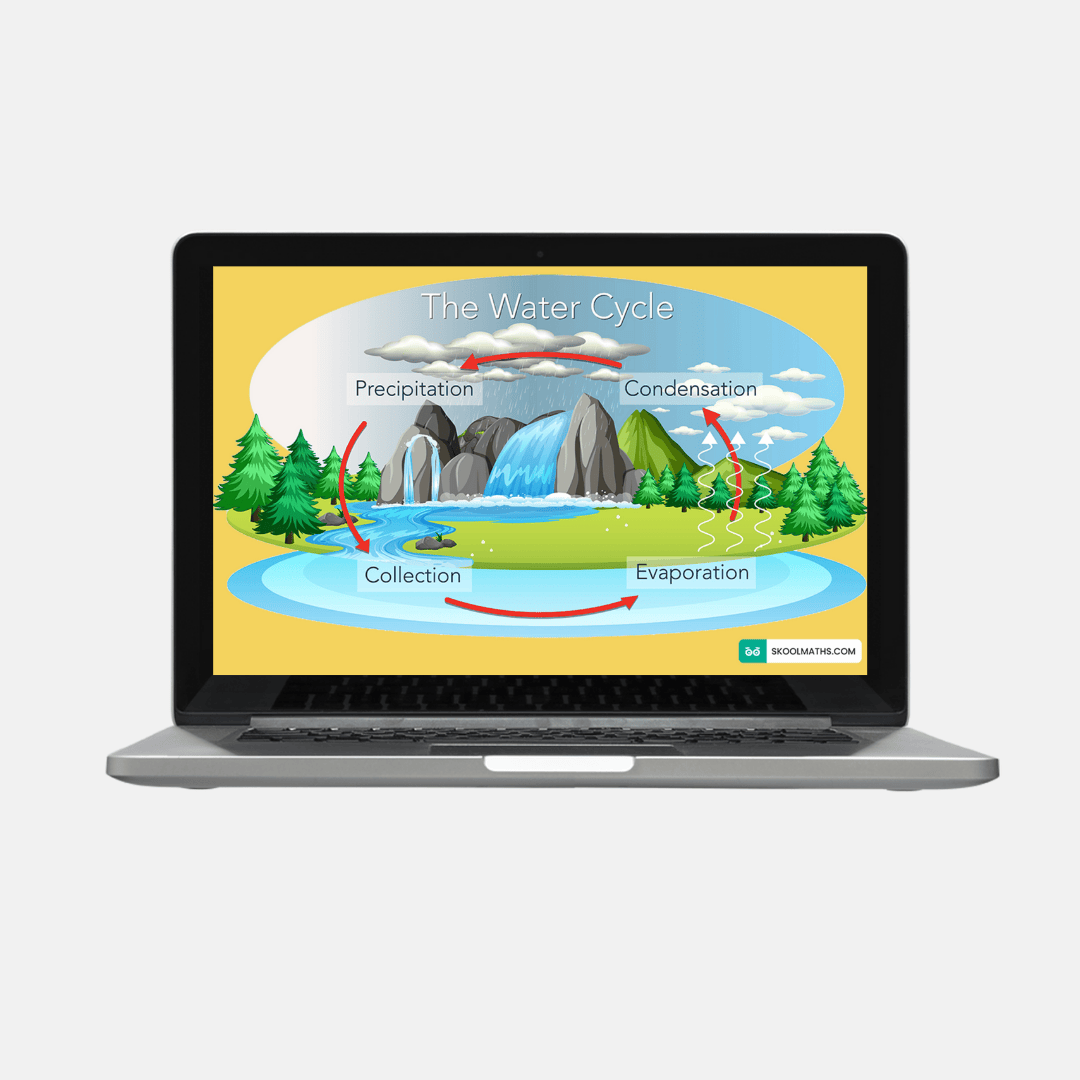 the water cycle