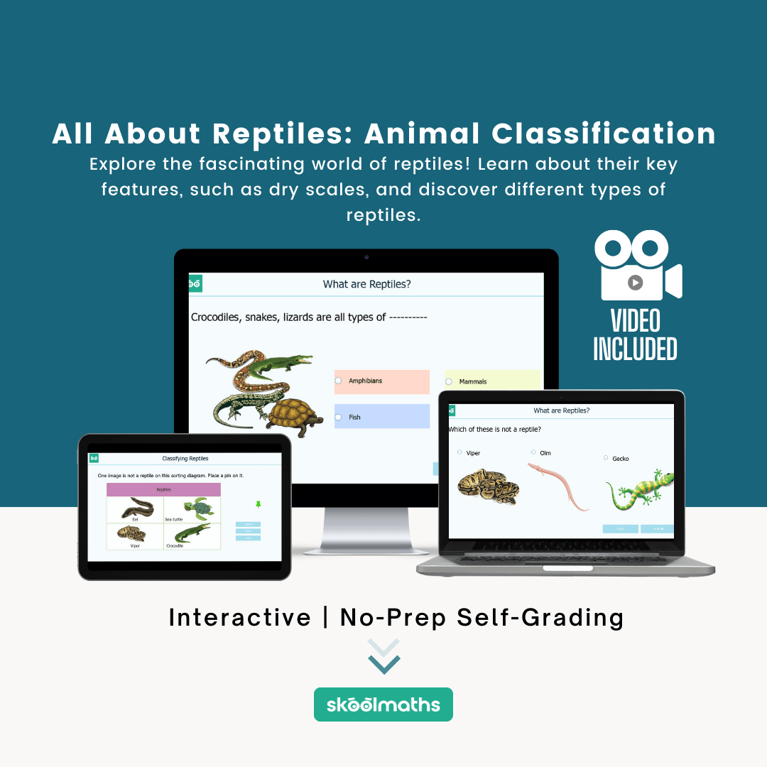 all about reptiles animal classification min