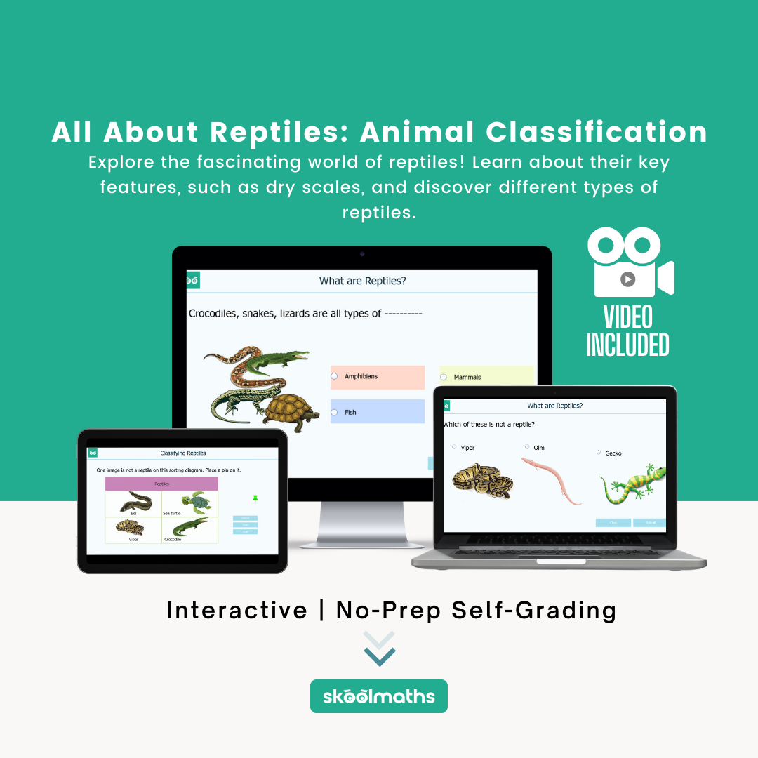 all about reptiles animal classification