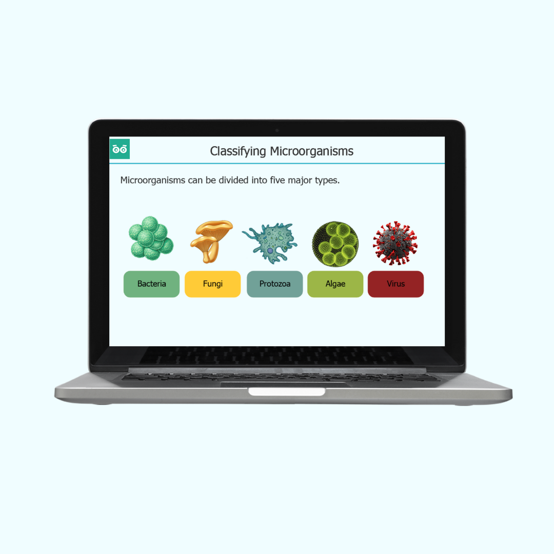 classifications of microorganisms