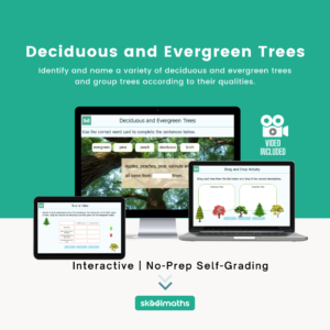 deciduous and evergreen trees (1)