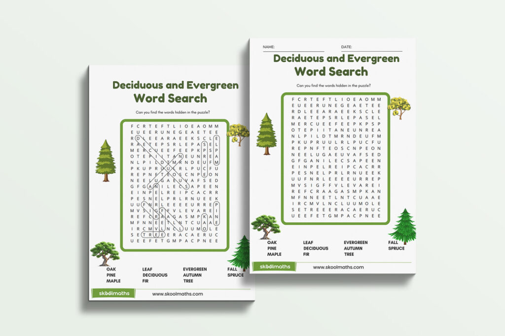 deciduous evergreen trees