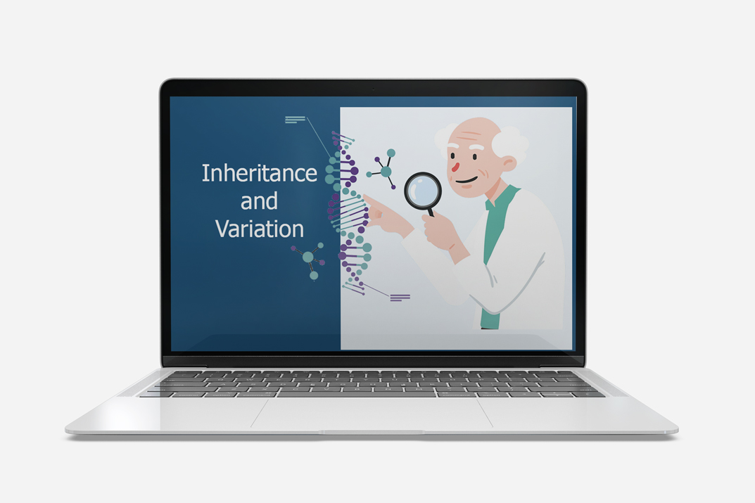 inheritance variation