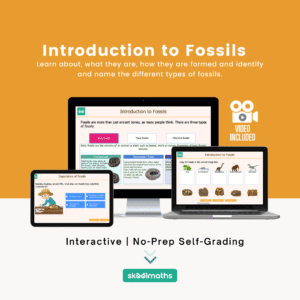 introduction to fossils min