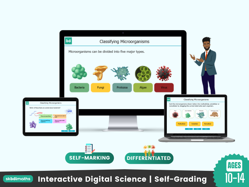 microorganism classifications