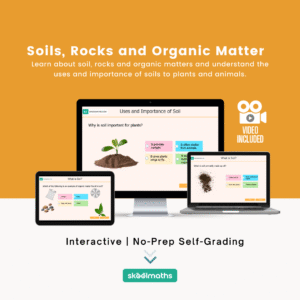 Soils: Rocks and Organic Matters