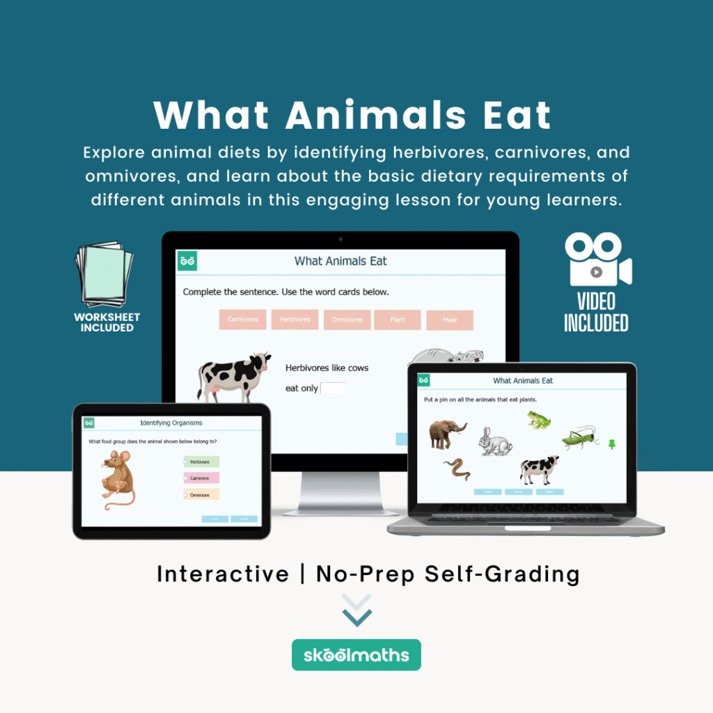 what animals eat min