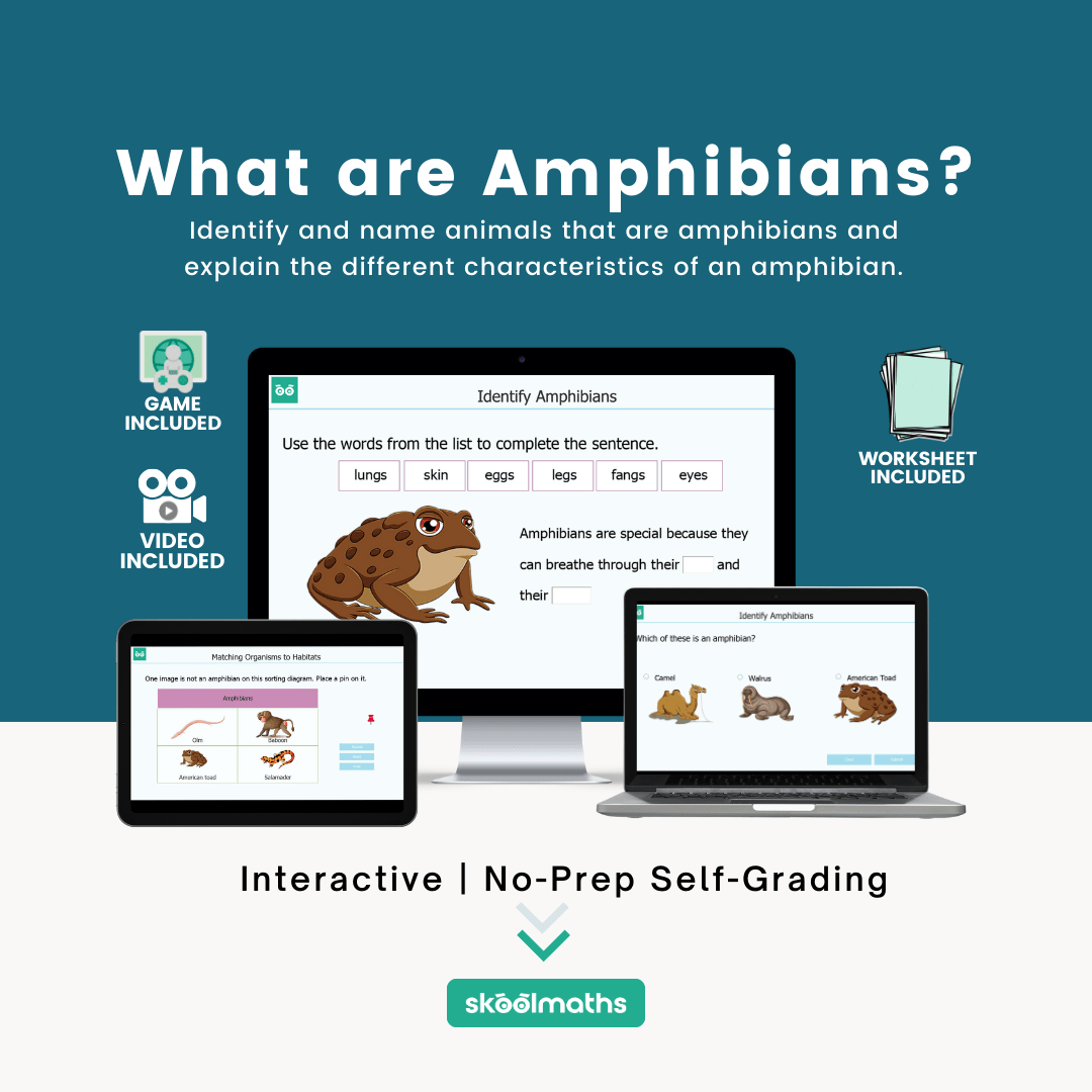 what are amphibians (2) min