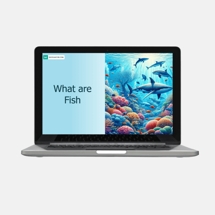 what are fish