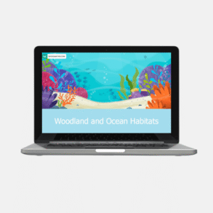 woodland and ocean habitat