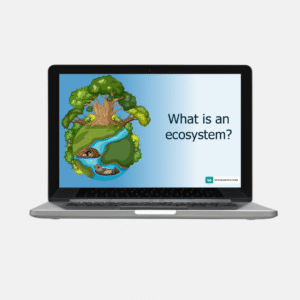 ecosystems