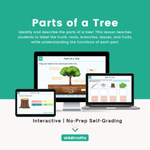 parts of a tree identifying and labelling (1)