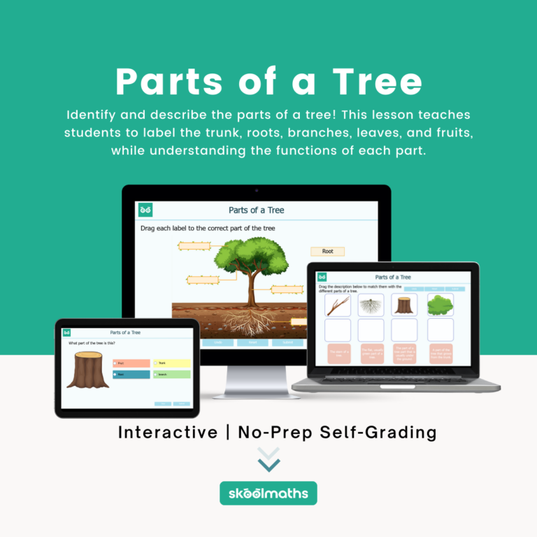 parts of a tree identifying and labelling (1)