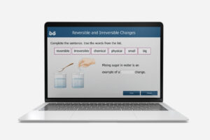 reversible and irreversible changes