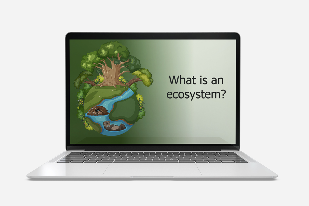 what is an ecosystem