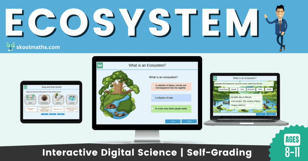 KS2 Science digital lesson on the ecosystem – interactive lesson with self-grading activities for kids
