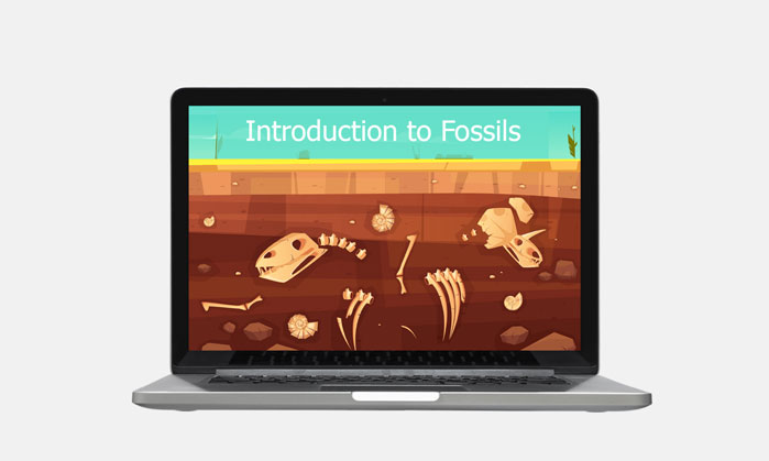 introduction to fossils