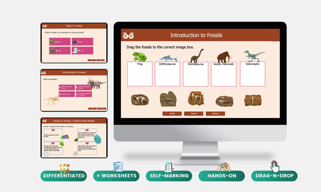 introduction to fossils