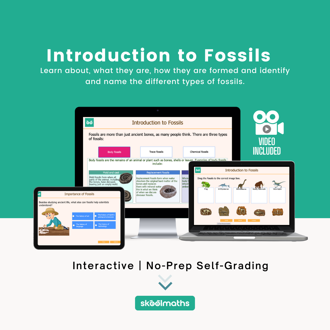 introduction to fossils