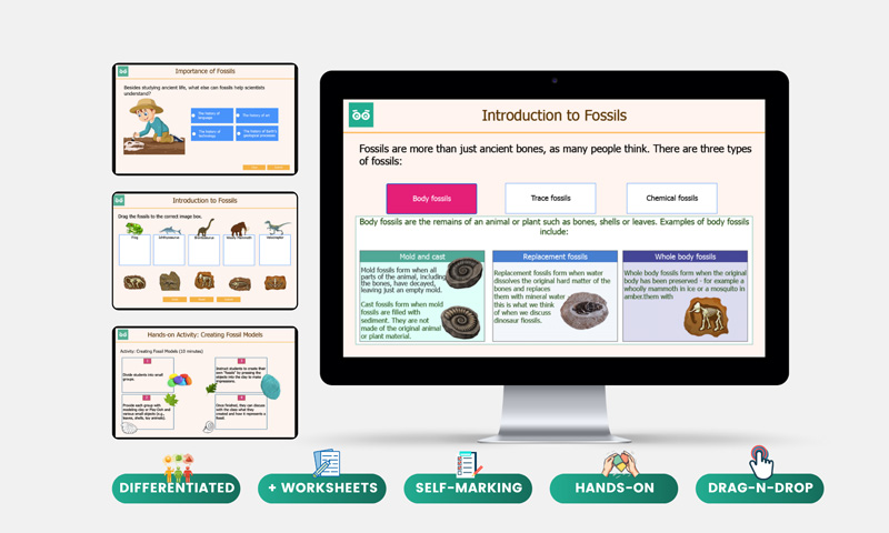 introduction to fossils