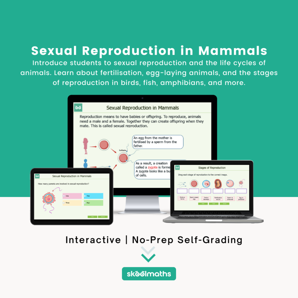 sexual reproduction in mammals